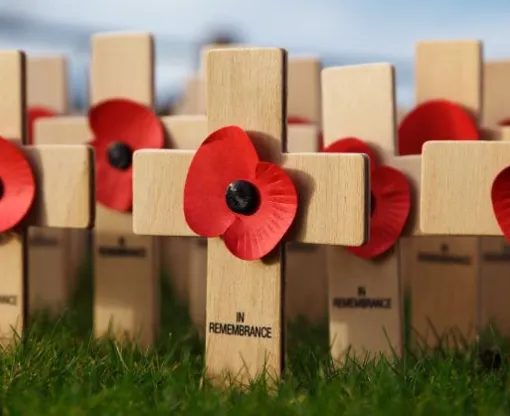 A row of wooden crosses with paper poppies in the middle of each