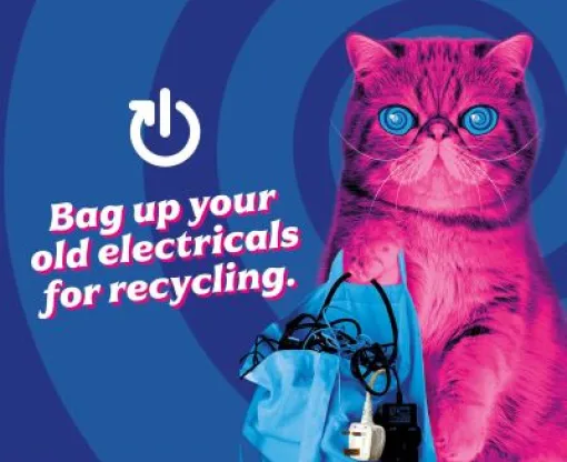 Bright pink hypnocat with blue eyes on blue background with text saying 'Bag up your old electricals for recycling'