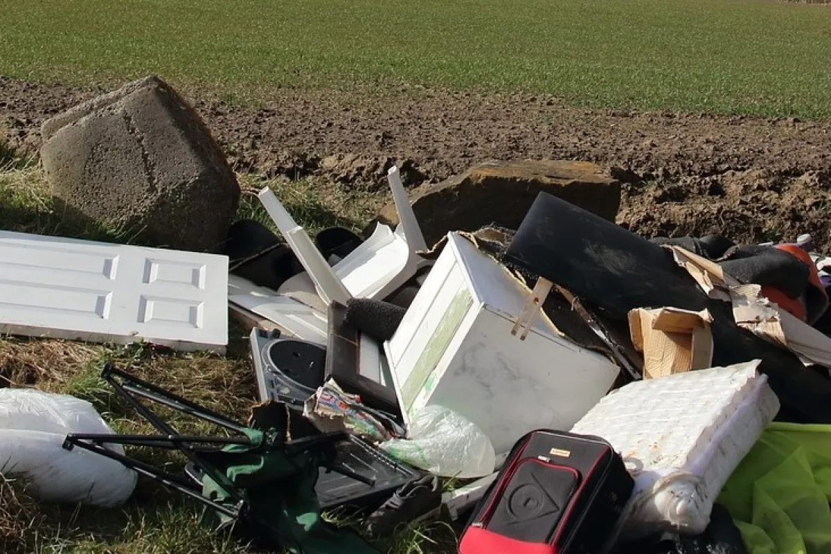 Household rubbish dumped in field