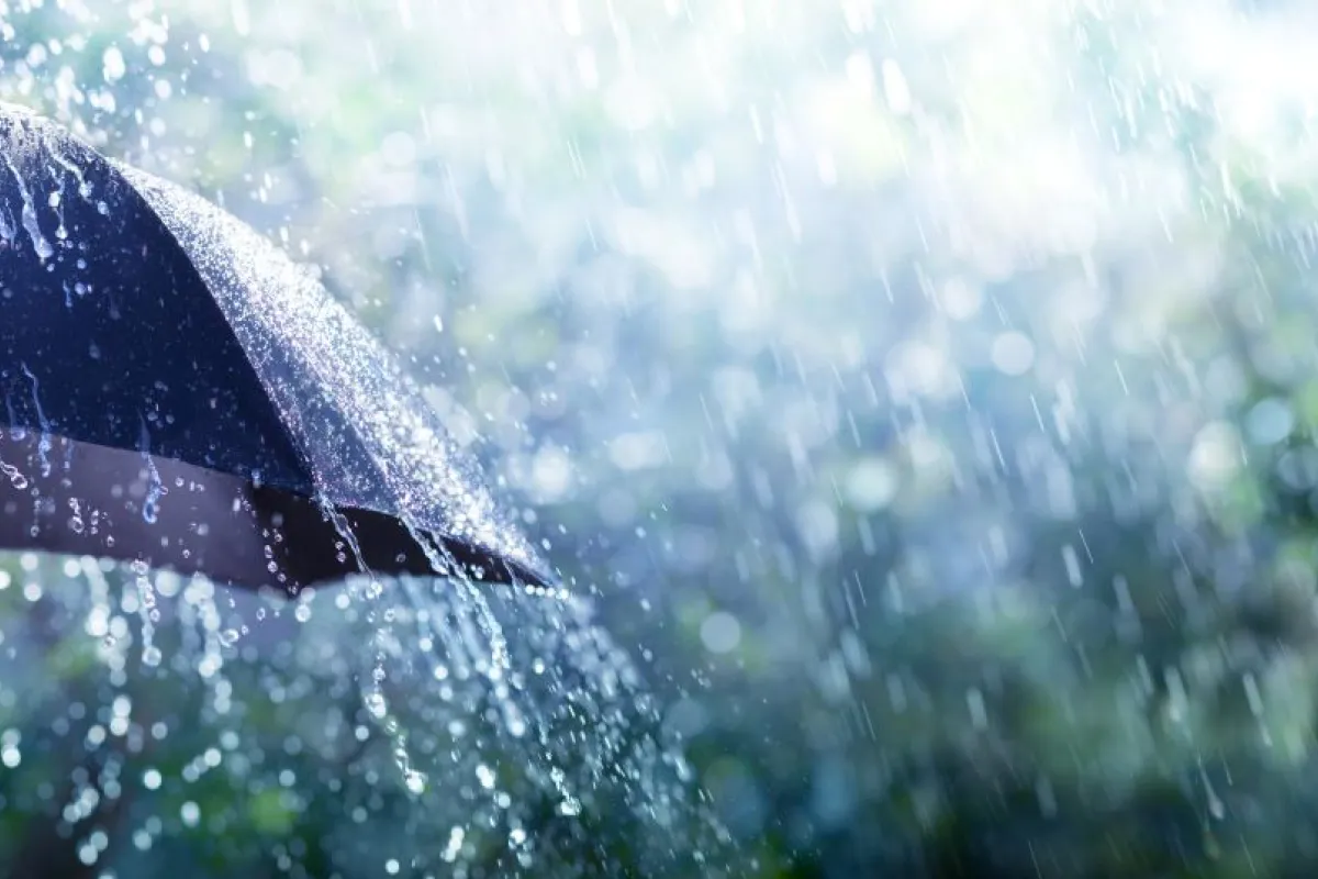 Black umbrella in the rain