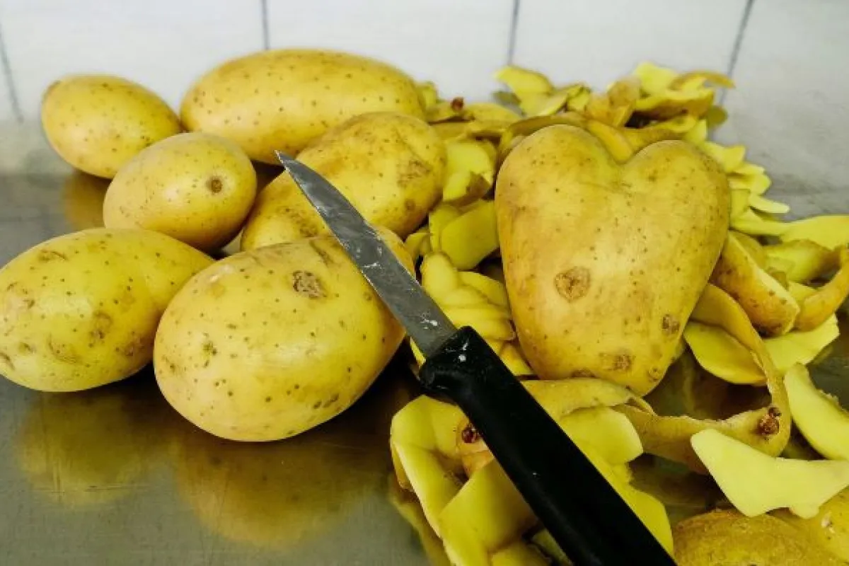 Potato peelings on kitchen side