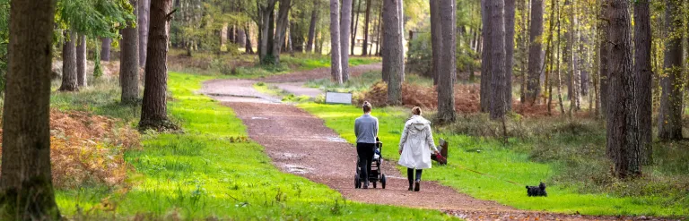 Couple walking a dog along wooded path