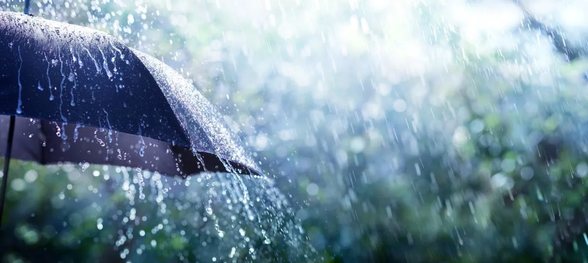 Black umbrella in the rain