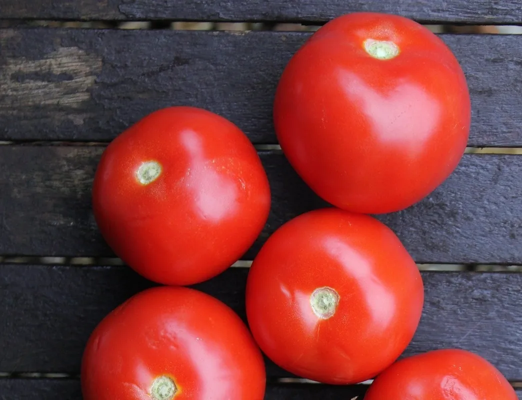 Tomatoes on a table